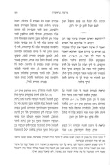 הרובץ בין המשפתיים - על התורה / שו"ת / סוגיות