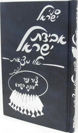 אבידת ישראל - פ' אלו מציאות