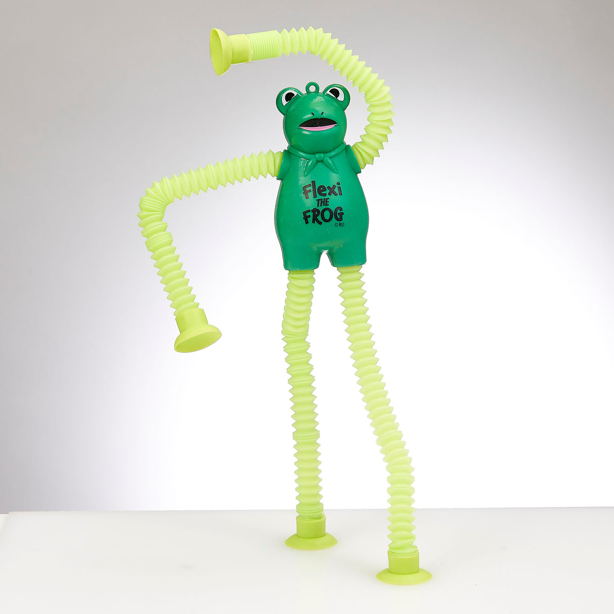 Passover "Flexi The Frog" Pop Tube Toy