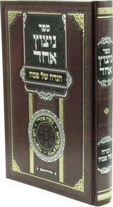 הגדה ניצוץ אחד