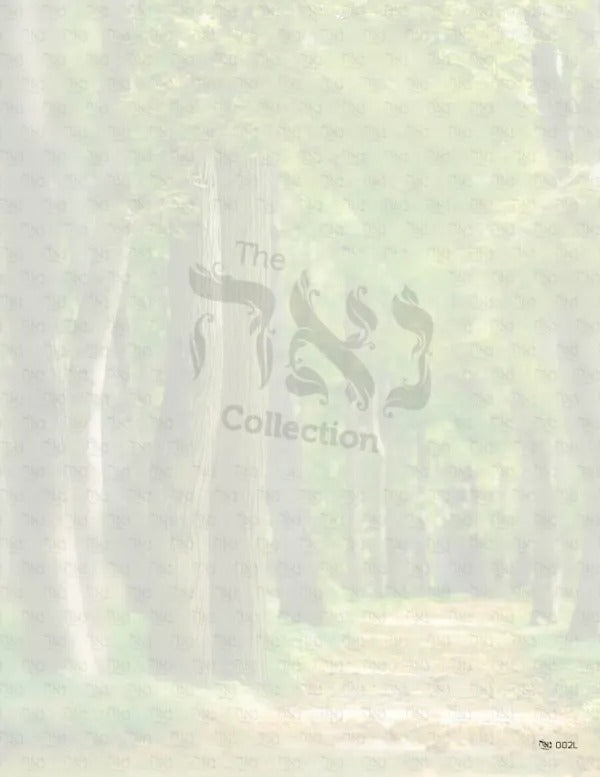 Design paper Scenic Pathway Size : 8.5x11" 10 Per Pack