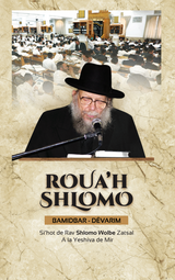 Roua'h Shlomo - bamidbar - devarim- si'hot de rav shlomo wolbe zatsal a la yeshiva de mir