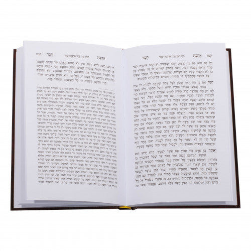 אהבת חסד-מנוקד-אברמוביץ