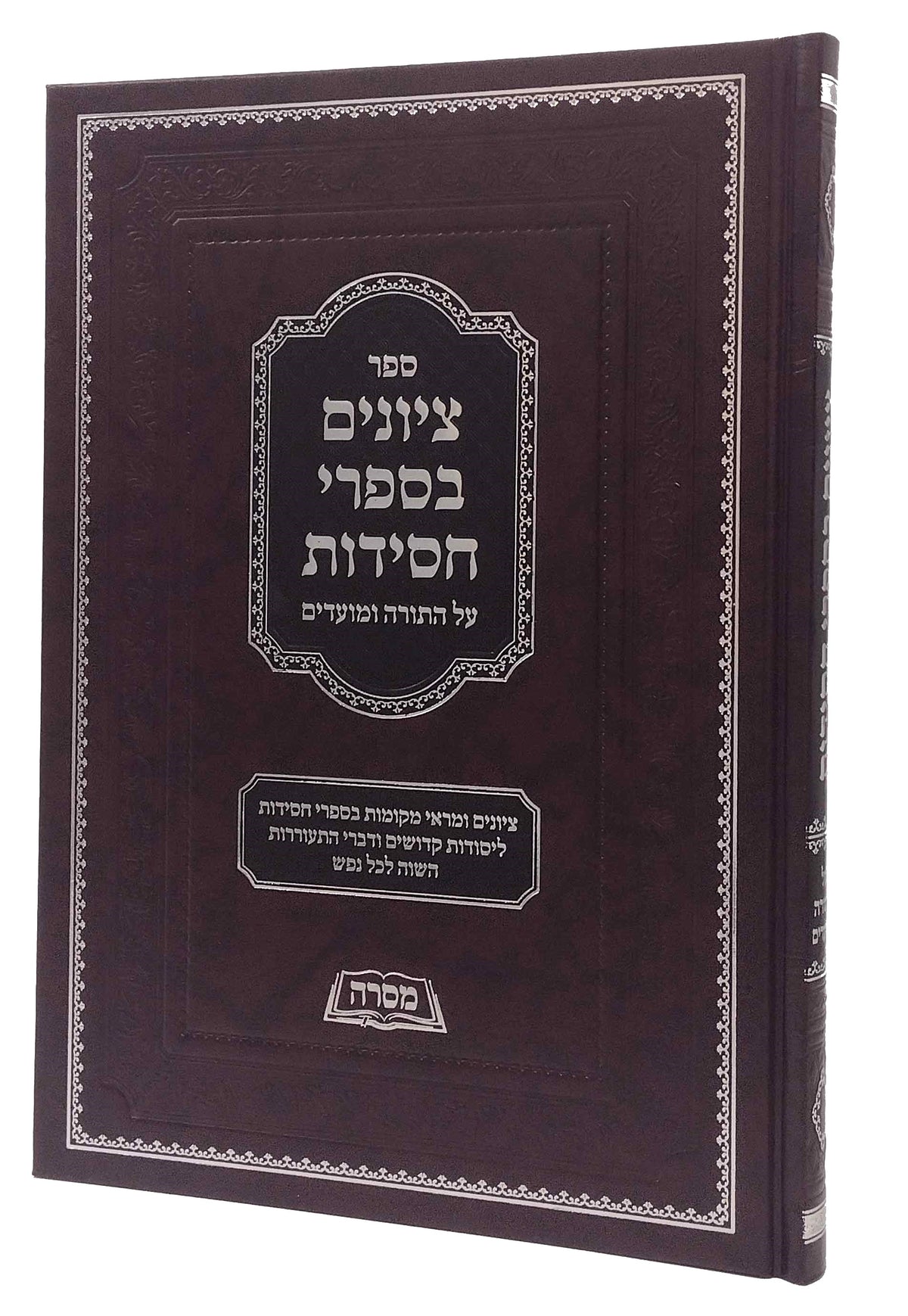 ציונים בספרי חסידות - על התורה ומועדים