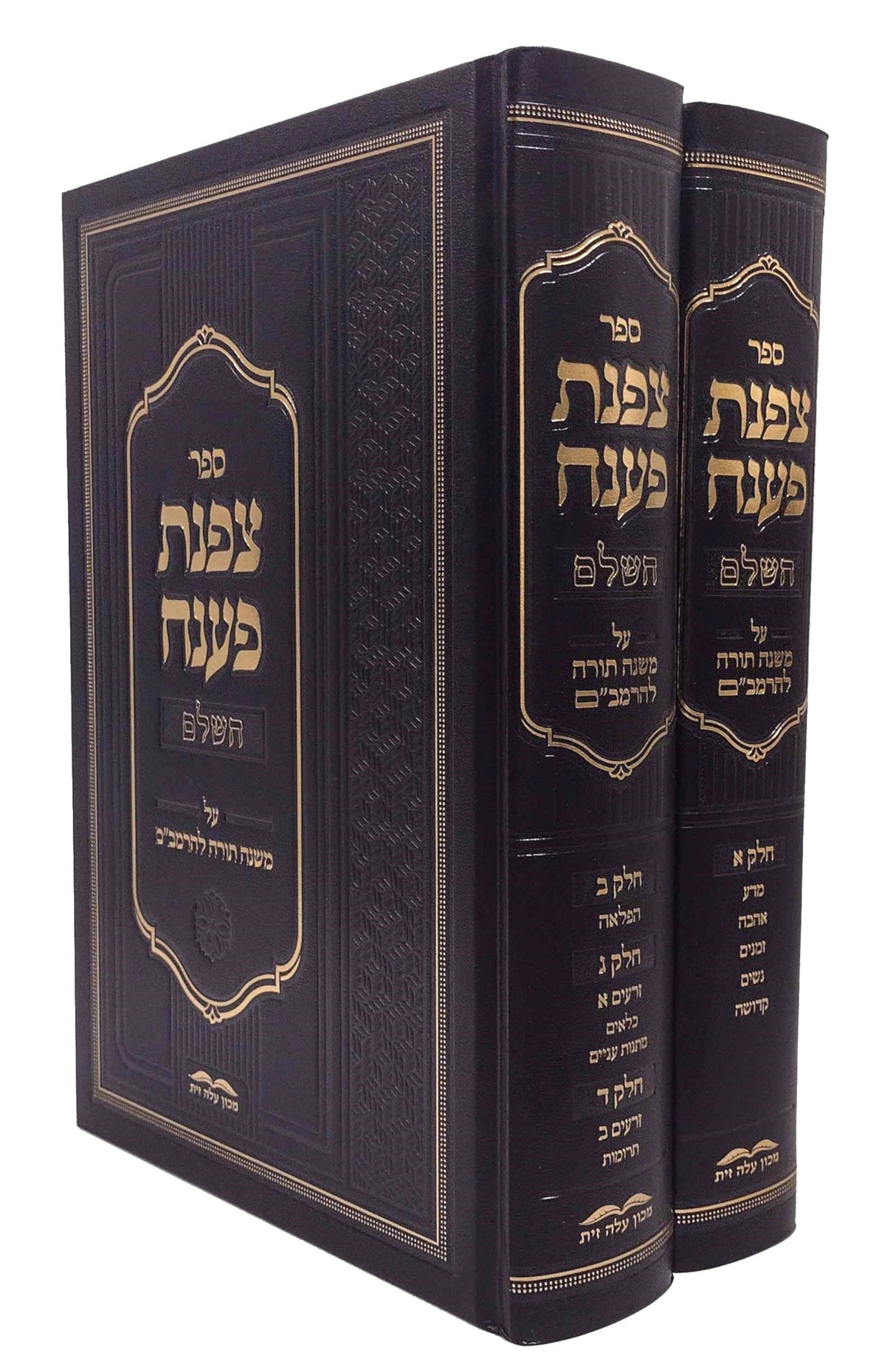 צפנת פענח על הרמב"ם - ב"כ