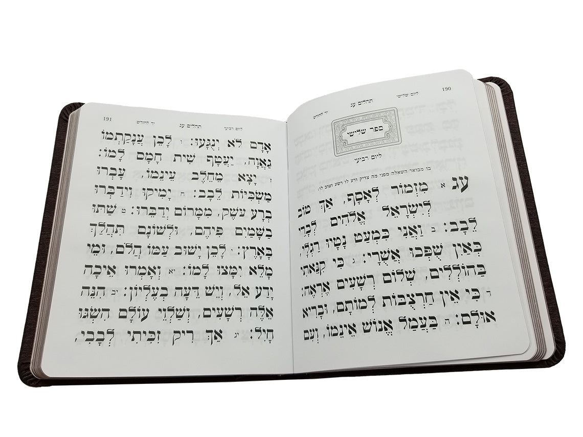 תהלים תפילות ובקשות - כפתור ופרח MEDIUM FLEXY BURGUNDY