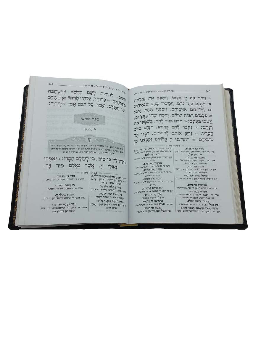 תהלים להבנה  גדול- כפתור ופרח - אידיש
