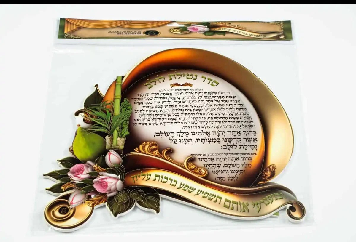 Foam/Kappa Seder Netillas Lulav 15"x15"