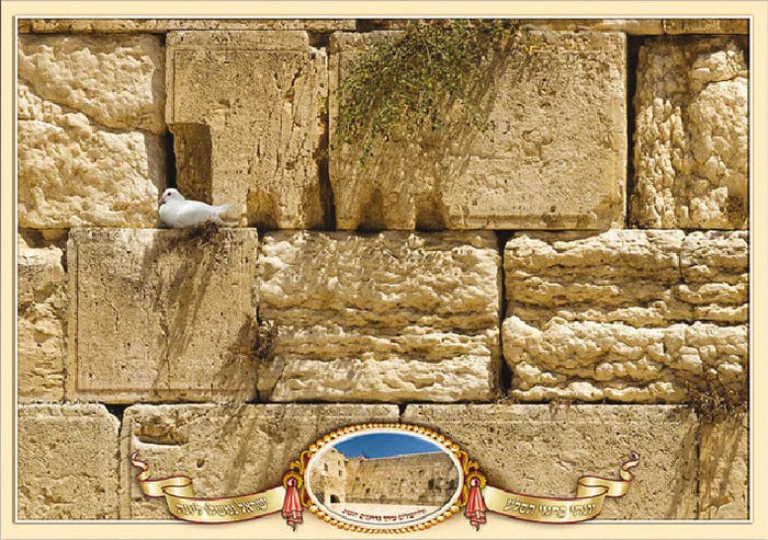 Laminated Poster 20" x 28"-- Kotel