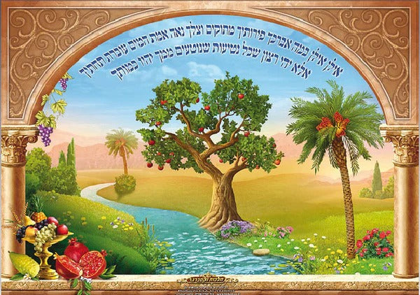 Laminated Poster 20" x 28"-- Ilan