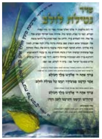 Laminated Poster 20" x 28"-- Netilat Lulav