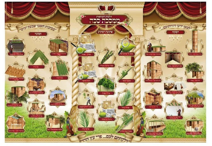Laminated Poster 20" x 28"-- Hilchot Sukkah