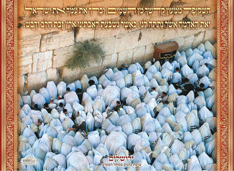 Laminated Poster 20" x 28"- Birchat Kohanim