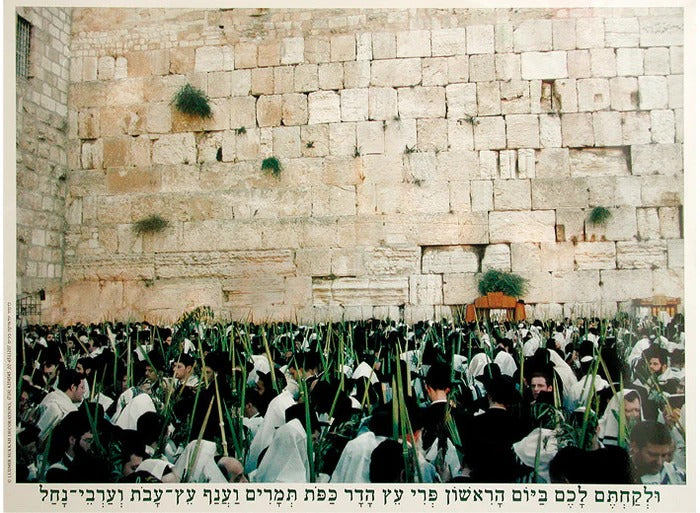 Laminated Poster 20" x 28"- Kotel