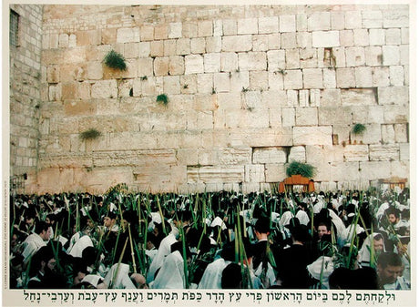 Laminated Poster 20" x 28"- Kotel