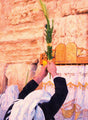 Laminated Poster 19" x 26"-Kotel Lulav-Mann