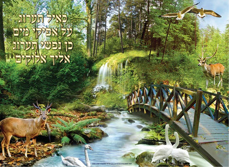 aminated Poster 20" x 28"- Tehillim
