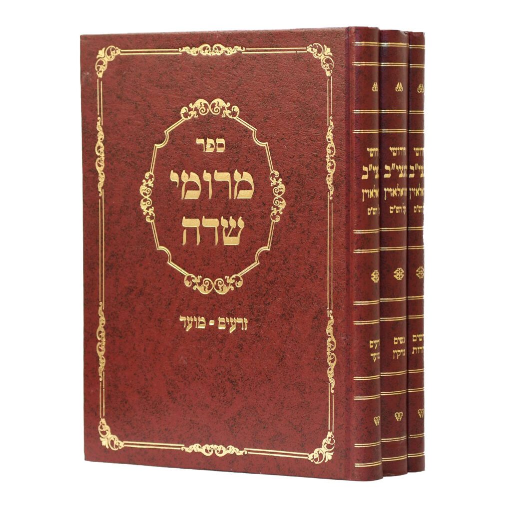 מרומי שדה על הש"ס ג"כ - חידושי הנצי"ב