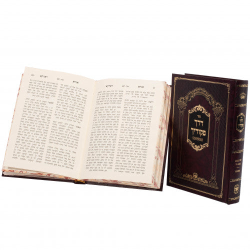 אגרא דפרקא / דרך פקודיך ב"כ - שער התורה