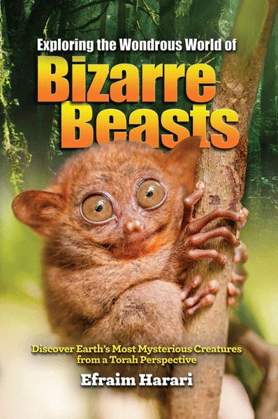 Exploring The Wondrous World Of Bizarre Beasts