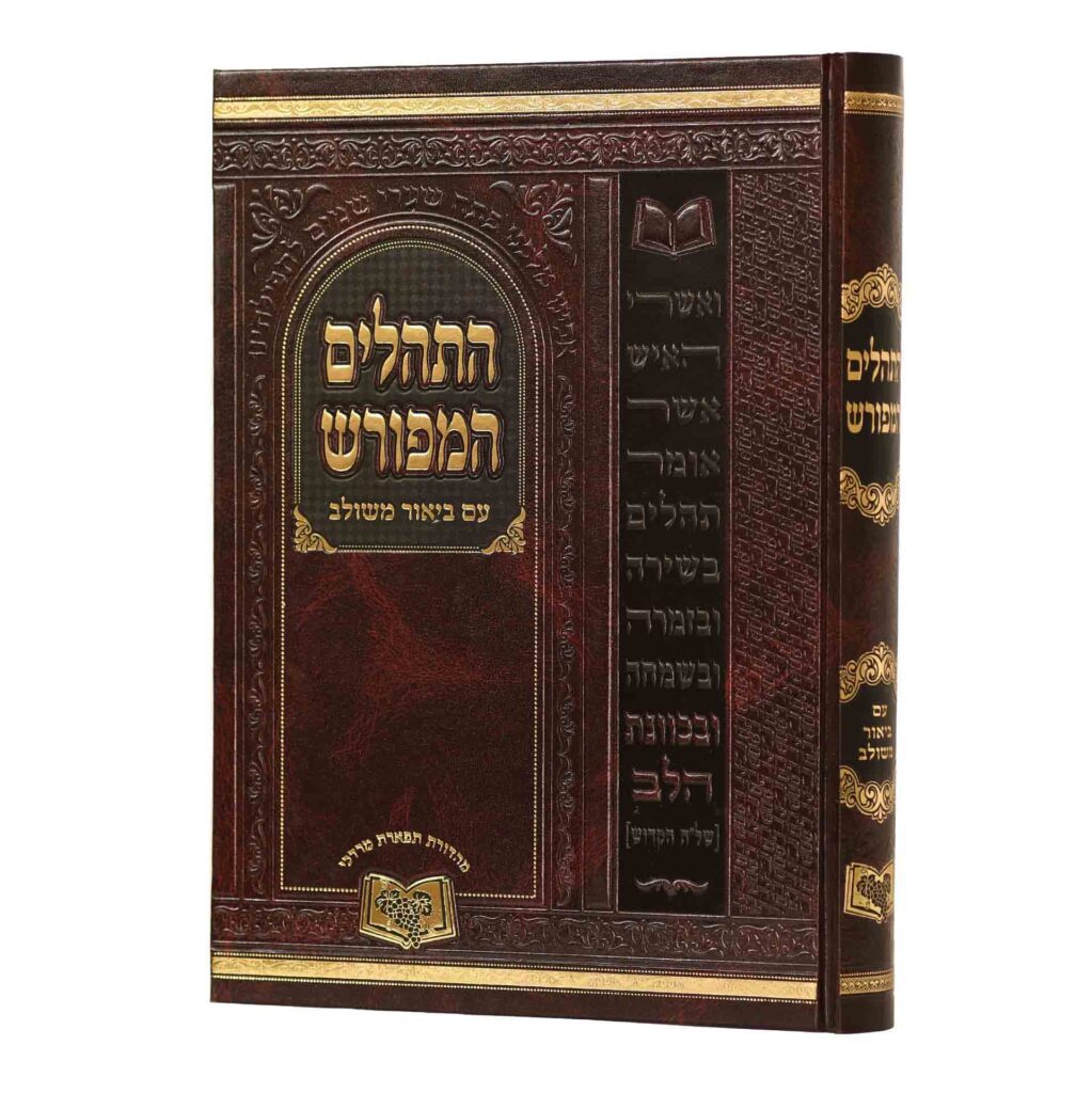 תהלים המפורש בלי מבוא 25 ס"מ