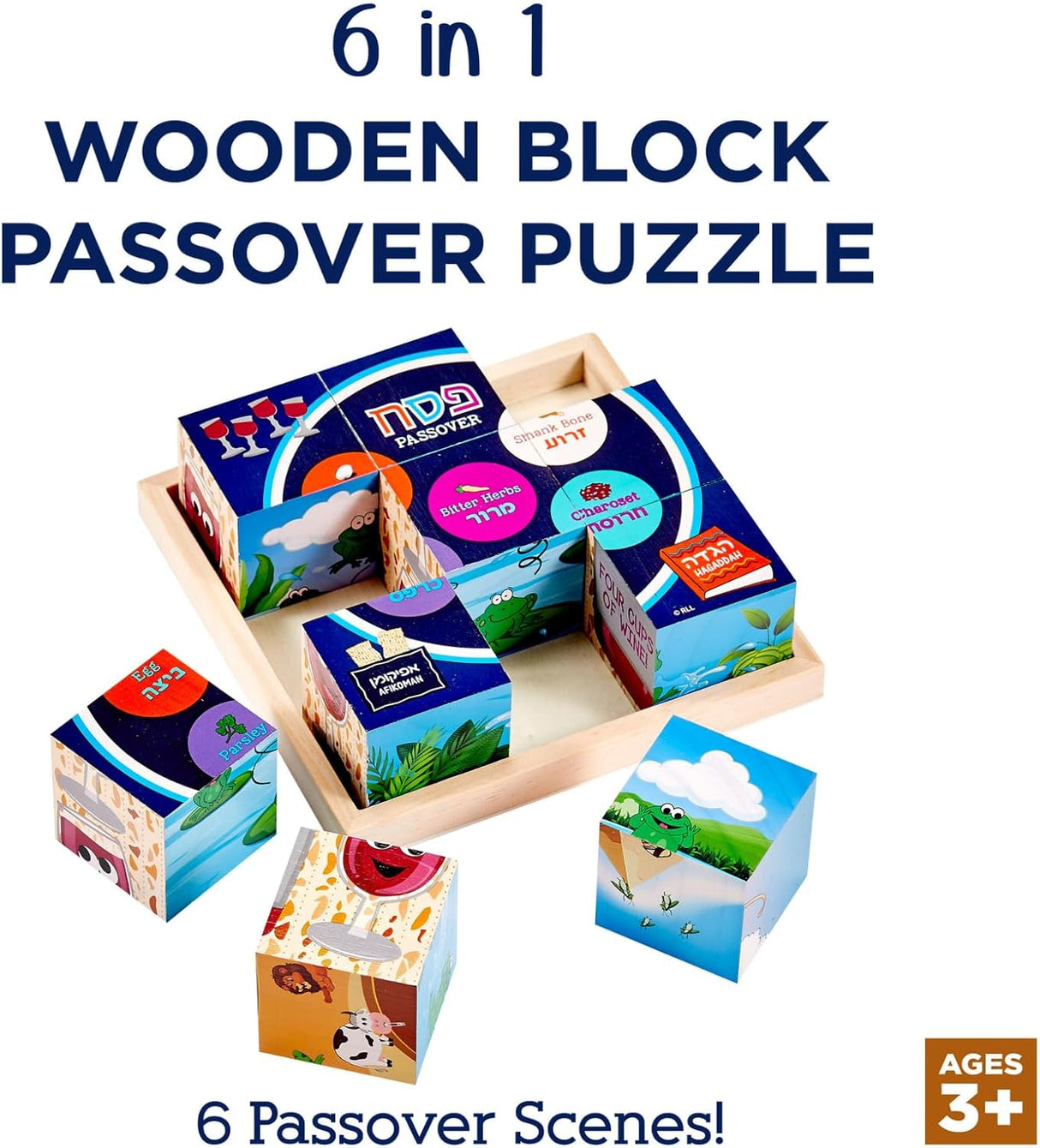 Passover "6 In 1" Puzzle