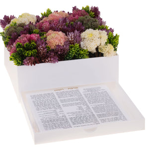 Zemirois And Benchers Sets