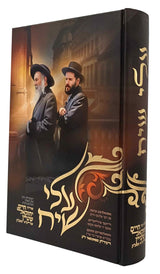 עלי שיח - זכרונות פון הרה"ח ר' יחזקאל שטיין שליט"א - אידיש