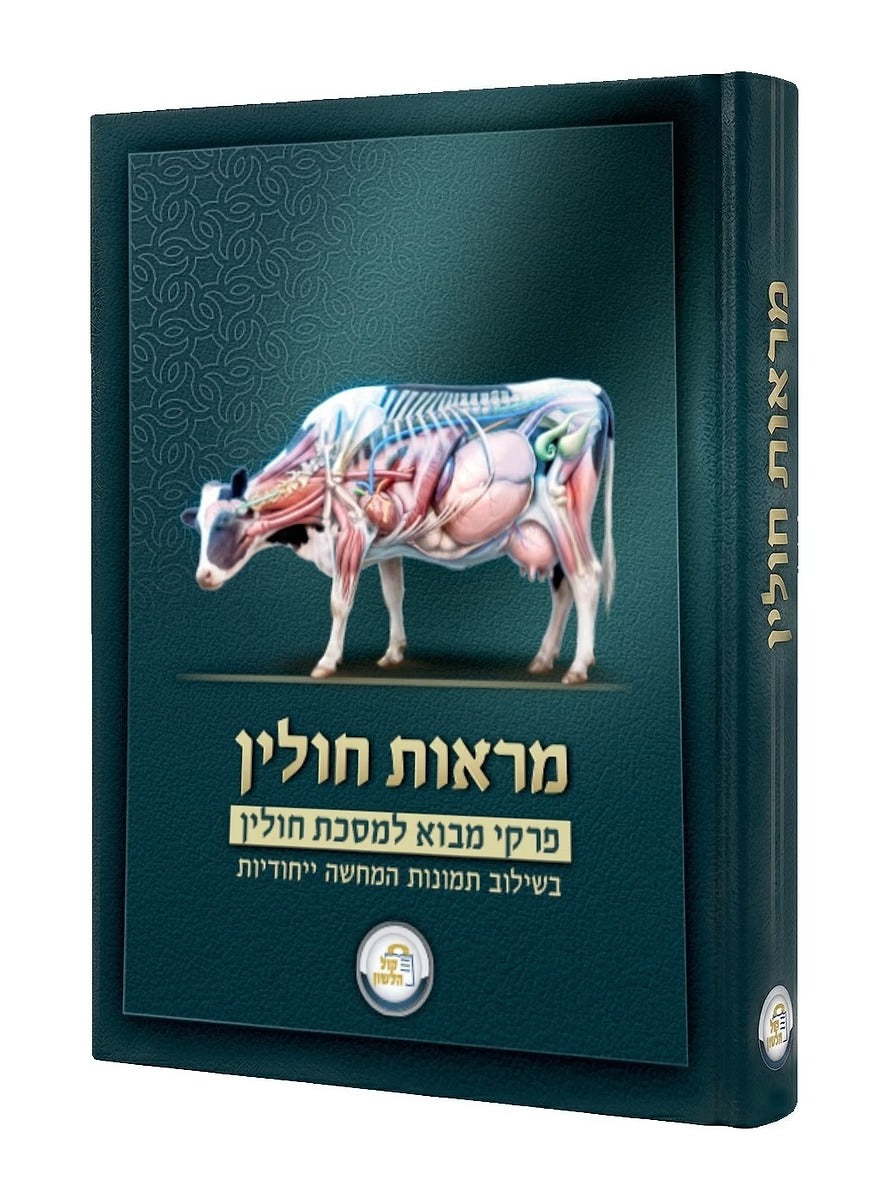מראות חולין - תמונות מבוארות על המסכת - קול הלשון