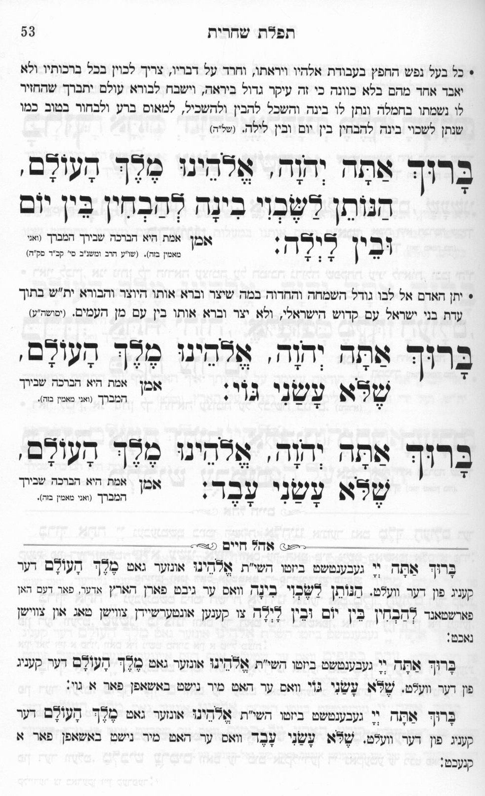 סדור כוונת התפלה אהל חיים לחול בינוני אידיש