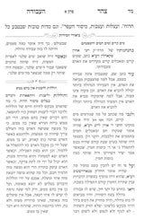 תניא - עם ביאור צהר העבודה | אדמו"ר מקרעטשניף זי"ע