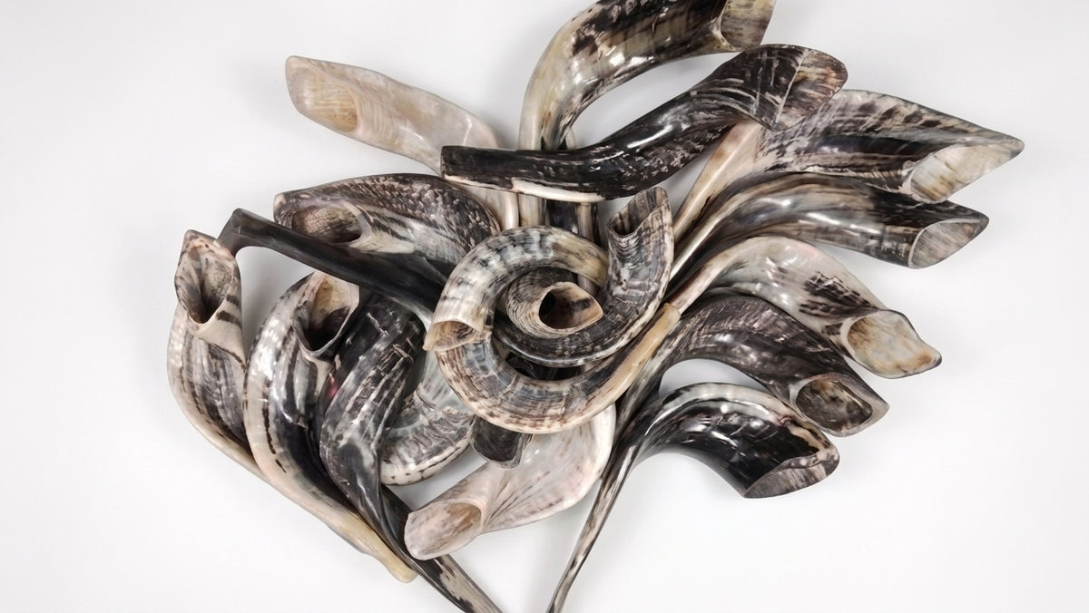 Moroccan Style Natural Ram Horn Shofar – Extra Large