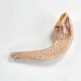Realistic Plastic Toy Shofar