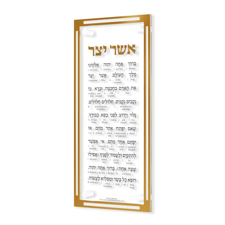 Classic Asher Yatzar - Artscroll Schottenstein Interlinear -