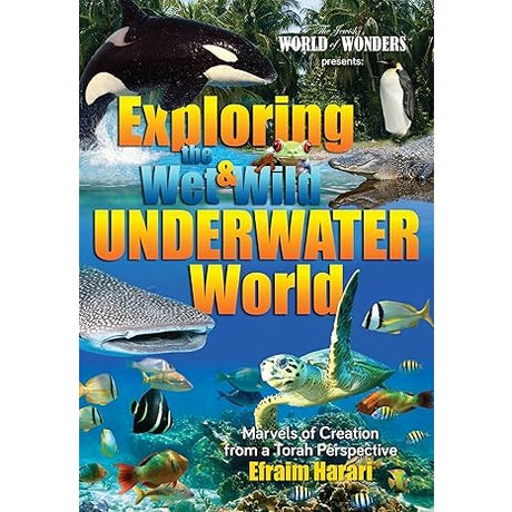 Exploring the Wet and Wild Underwater World