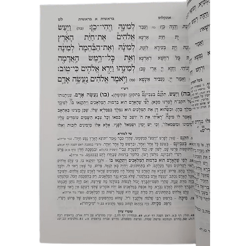 חומש שי למורא ה"כ - רש"י רגילה אותיות רש"י - מנוקד חלקית