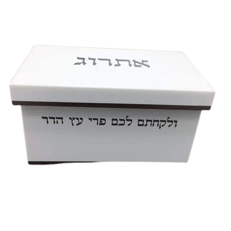 Esrog box - White With Gold