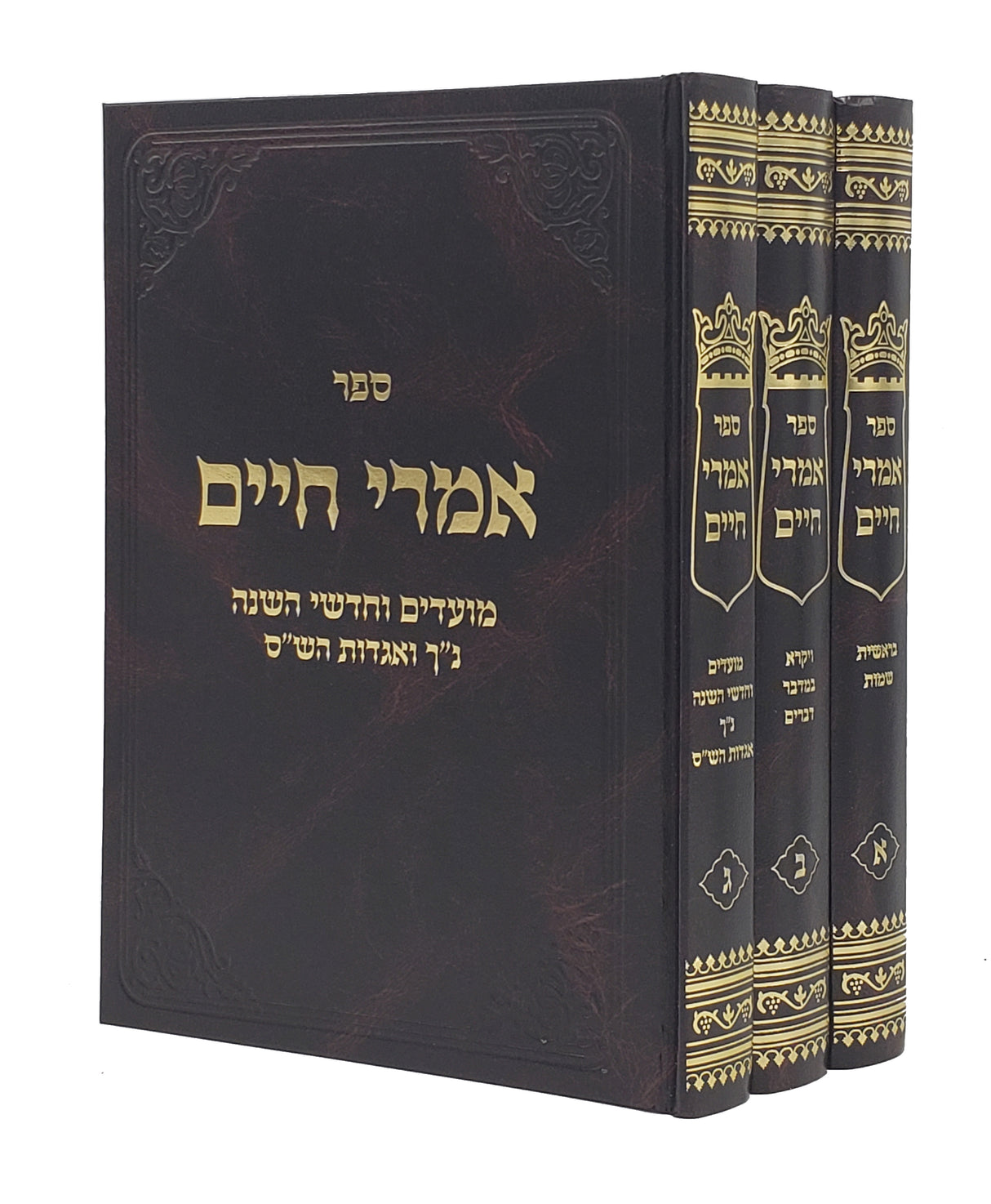 אמרי חיים על התורה - ג"כ - ויזניץ