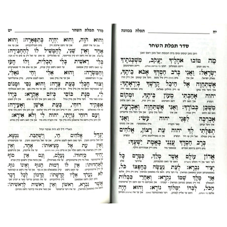 סדור תפלה בכוונה השלם גדול - אידיש