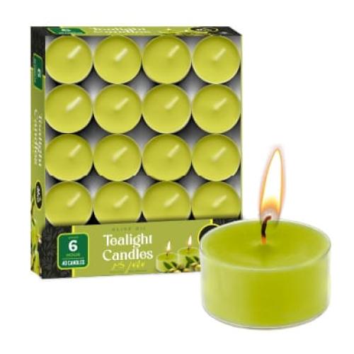Olive Oil Tealights 6H