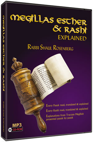 Megillas Esther and Rashi Explained - on mp3 - Price Excludes VAT