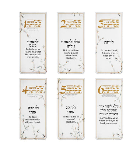 Willow Six Constant Mitzvahs Magnet Pack