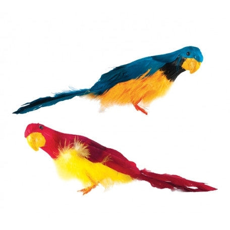 Colored Birds