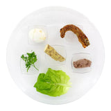 Disposable Seder Plate