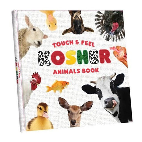 My First Touch and Feel Animal Book
