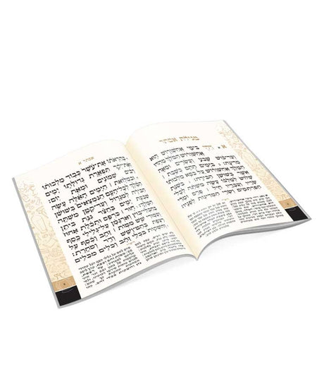 מגילת אסתר – דגם חצי חצי - שמחונים רכה