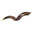 שופר קודו קטן  / Israel Natural Kosher Kudu Horn Shofar - mini