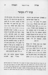 חמרא טבא / אורה ושמחה - בארנוב על התורה