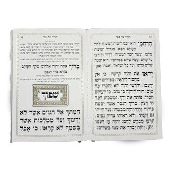 הגדה של פסח באותיות גדולות - כפתור ופרח PU SILVER