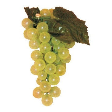 JUMBO GRAPES CLUSTER RED - Sukkah Decoration